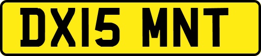 DX15MNT