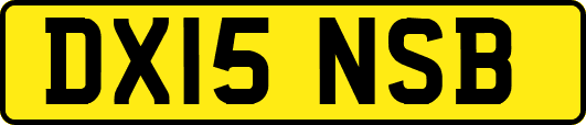 DX15NSB