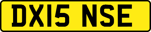 DX15NSE