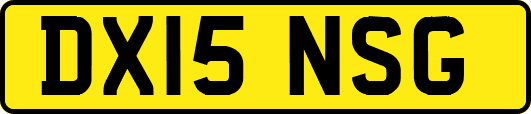 DX15NSG