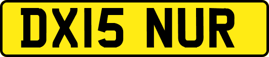 DX15NUR