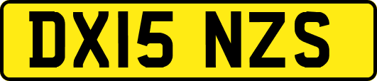 DX15NZS