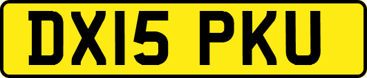 DX15PKU