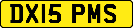 DX15PMS