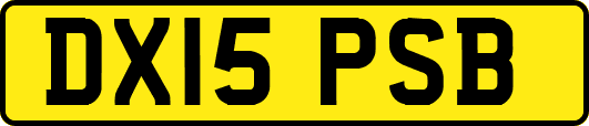 DX15PSB