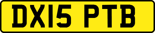 DX15PTB