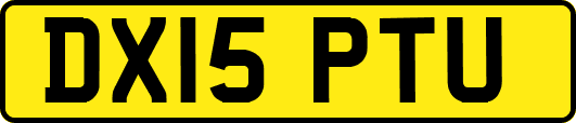 DX15PTU