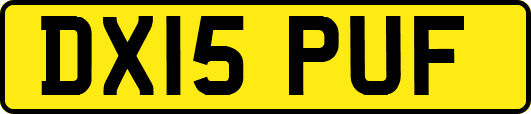DX15PUF