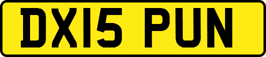 DX15PUN