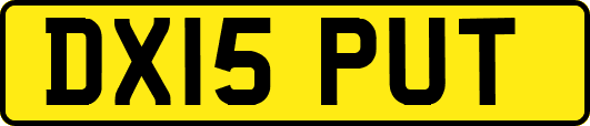 DX15PUT