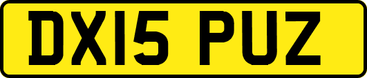 DX15PUZ