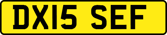 DX15SEF