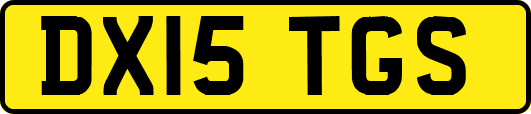 DX15TGS