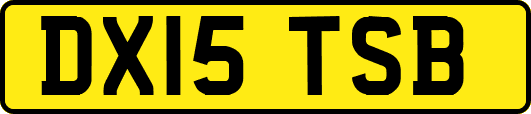 DX15TSB