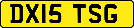 DX15TSG
