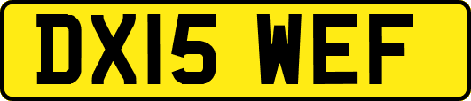 DX15WEF