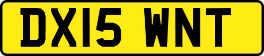 DX15WNT