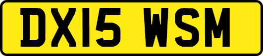 DX15WSM