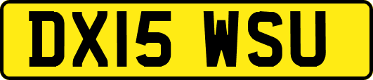DX15WSU