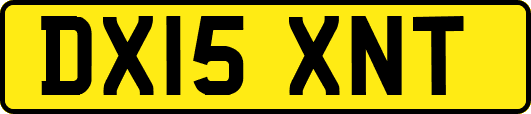 DX15XNT