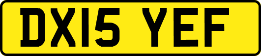 DX15YEF