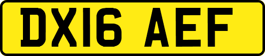 DX16AEF