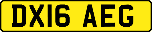 DX16AEG