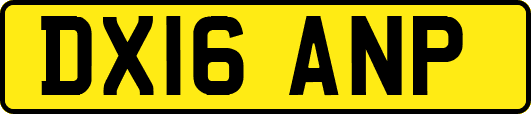 DX16ANP