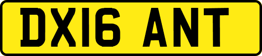 DX16ANT