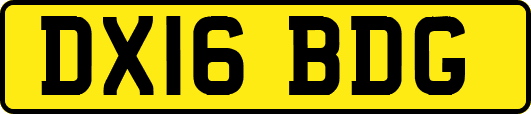 DX16BDG