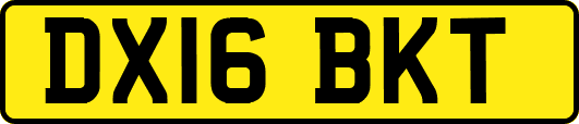 DX16BKT