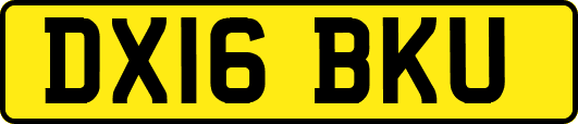 DX16BKU