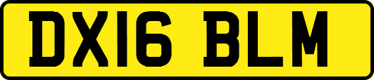 DX16BLM