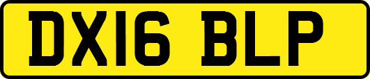 DX16BLP