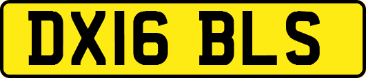 DX16BLS