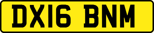 DX16BNM