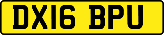 DX16BPU