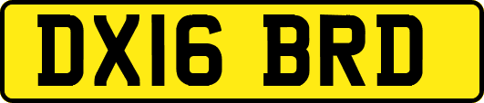 DX16BRD