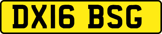 DX16BSG