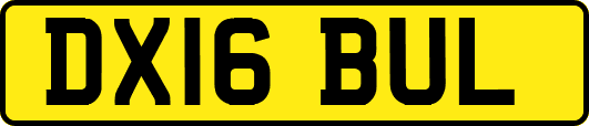 DX16BUL