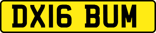 DX16BUM