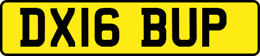 DX16BUP