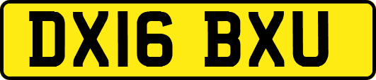 DX16BXU