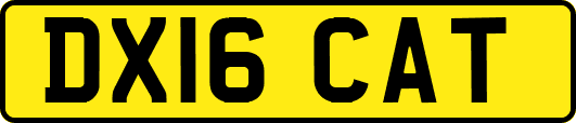 DX16CAT