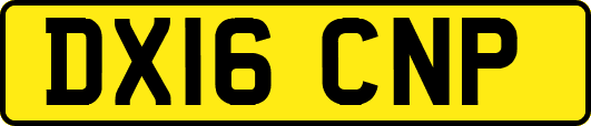 DX16CNP
