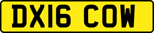 DX16COW