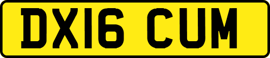 DX16CUM