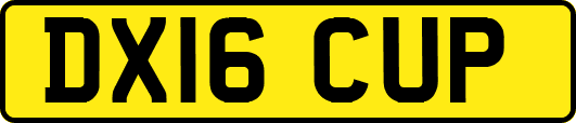 DX16CUP
