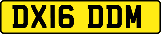 DX16DDM