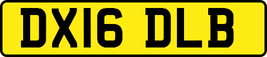 DX16DLB